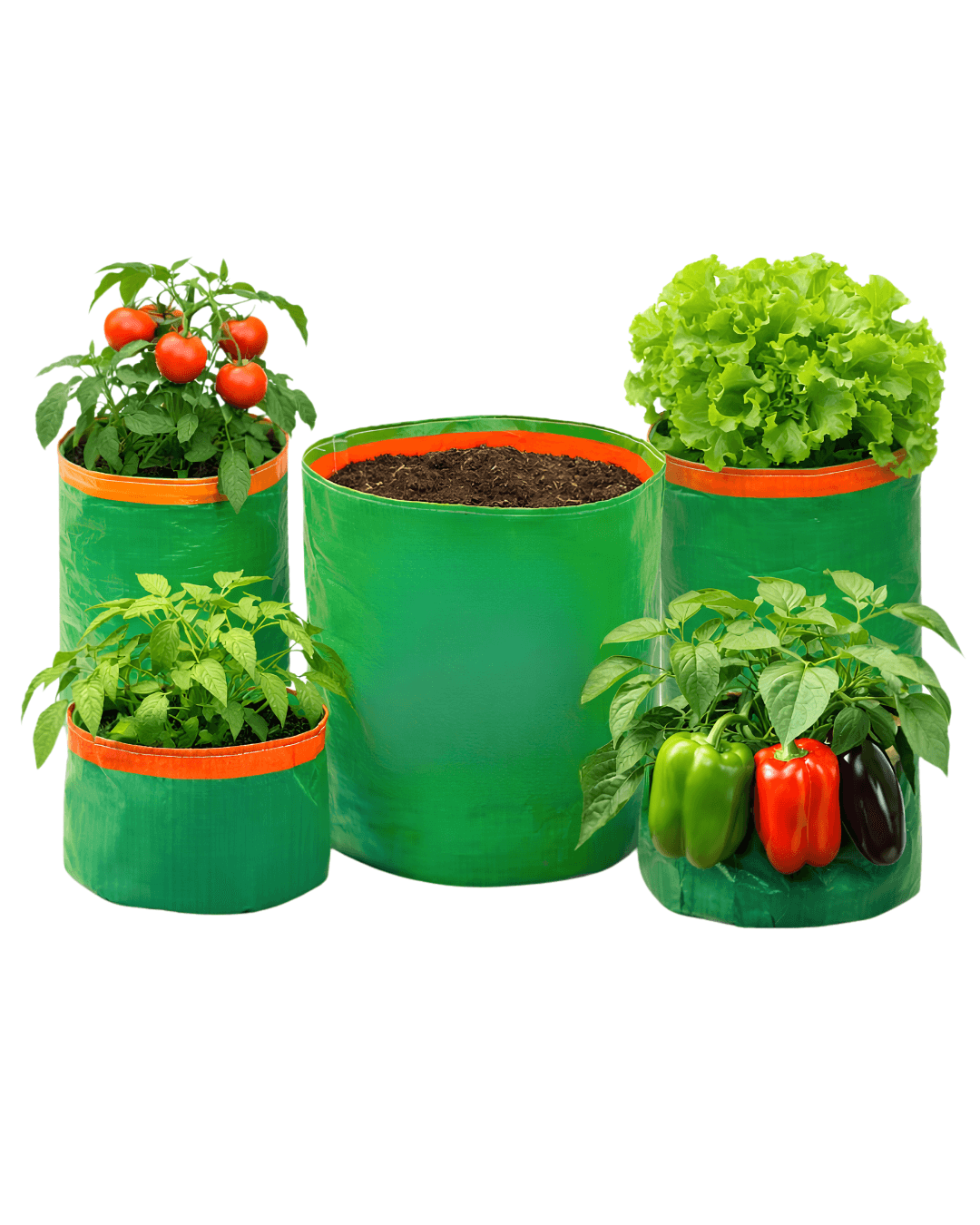 Grow Bags – photo 5