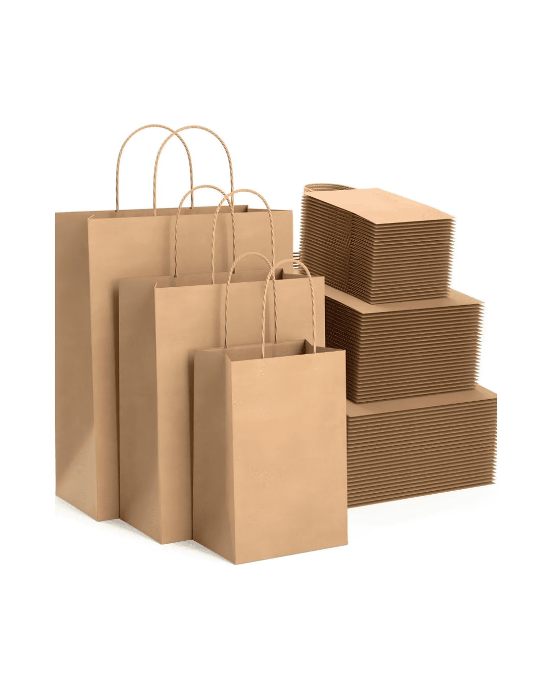 Paper Carry Bags – photo 2
