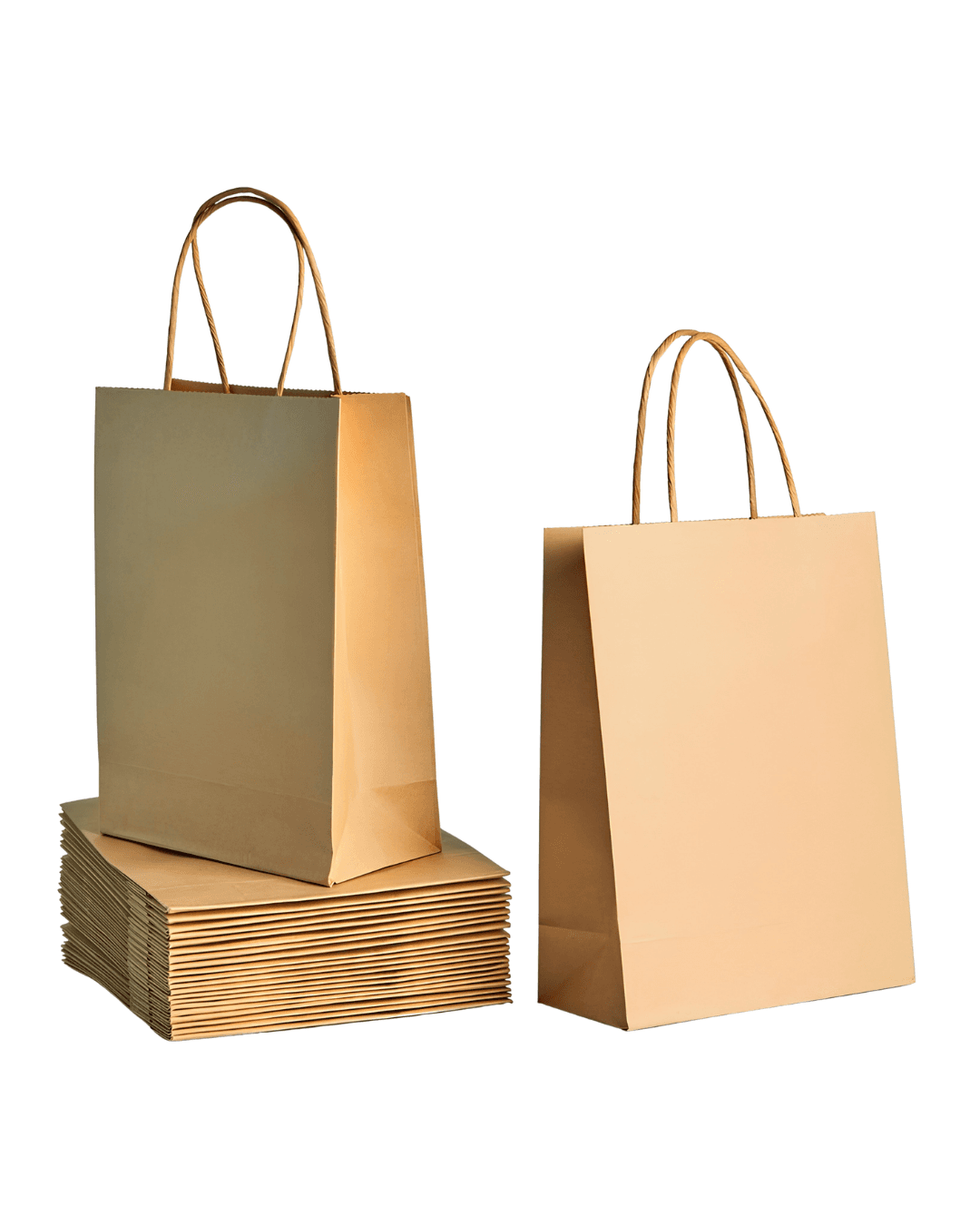 Paper Carry Bags – photo 4